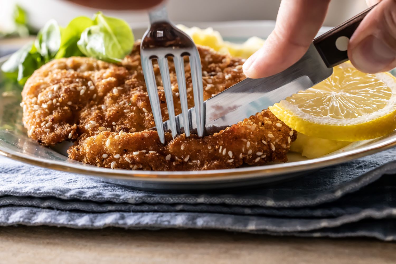 Seed Crumbed Chicken Schnitzel